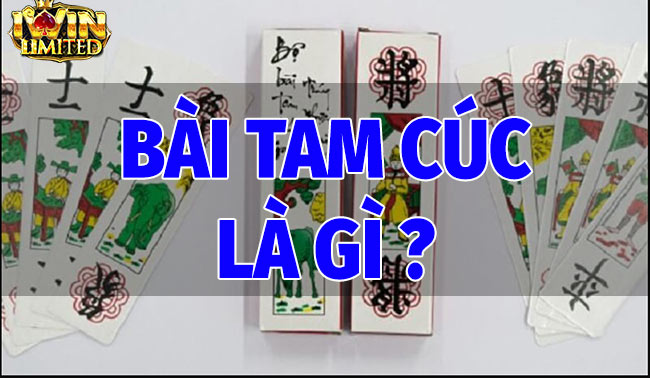 Bài Tam Cúc Là Gì?