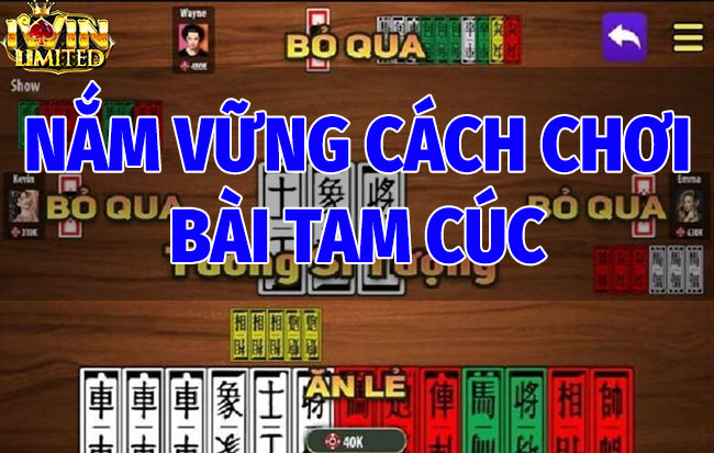 Nắm Vững Cách Chơi Bài Tam Cúc Cơ Bản