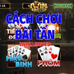 Bài Tấn là gì? Cách chơi bài Tấn chuẩn và hiệu quả nhất