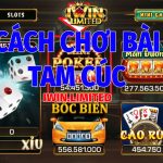 Bài Tam Cúc là gì? Cách chơi bài Tam Cúc thắng lớn từ cao thủ