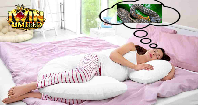 Có bầu nằm mơ thấy rắn