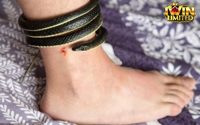 Giải mã việc nằm mơ thấy rắn cắn vào chân