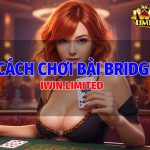 Cách chơi bài bridge