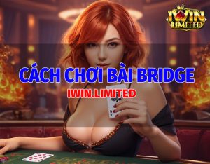Cách chơi bài bridge