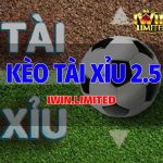 kèo tài xỉu 2.5