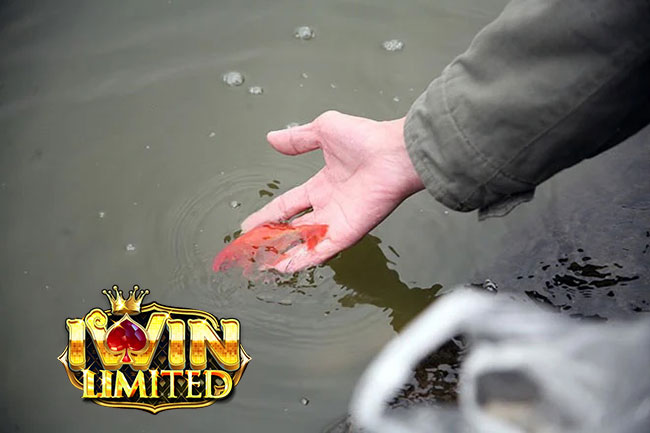 phóng sinh để giải đen cờ bạc