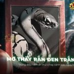 Giải Mã Giấc Mơ Thấy Rắn Đen Trắng - Bí Ẩn Hấp Dẫn Đằng Sau giai-ma-giac-mo-thay-ran-den-trang