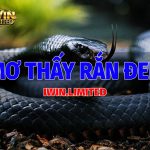 Mơ thấy rắn đen