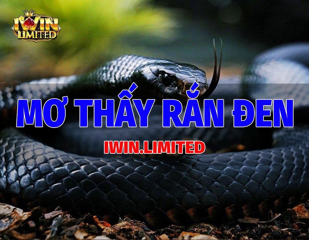 Mơ thấy rắn đen