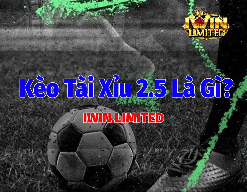 giải nghĩa kèo tài xỉu 2.5 là gì