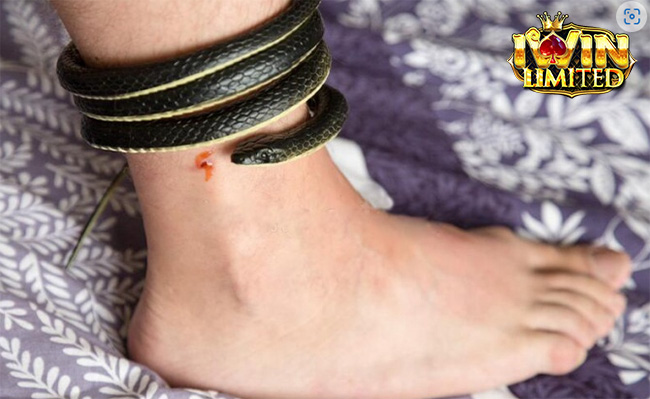 Nằm mơ thấy rắn cắn vào chân phải