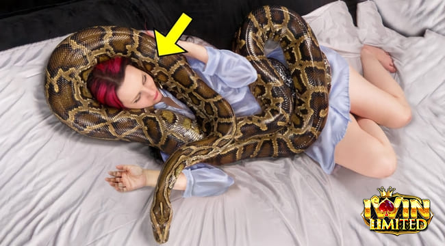 Mơ thấy rắn ăn thịt người đánh con gì được nhiều anh em quan tâm