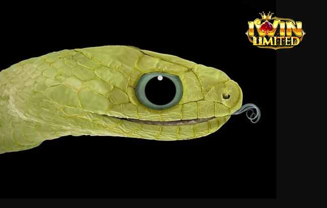 Mơ thấy rắn bị chặt đầu nhưng không chết