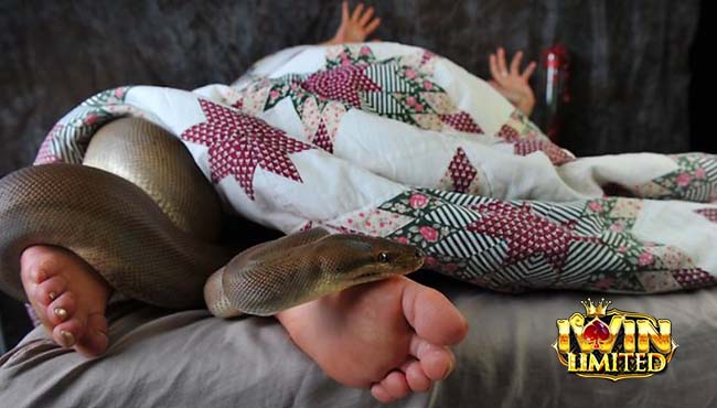 Mơ thấy rắn bò lên giường mà không cắn