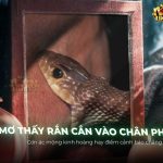 mo-thay-ran-can-chan-phai-diem-bao-gi