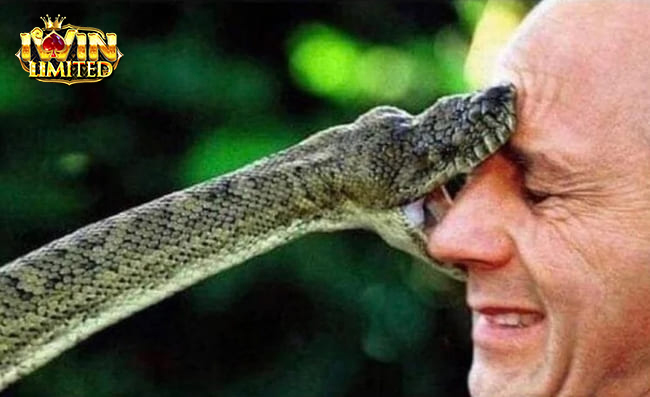 Mơ thấy rắn cắn chết người khác