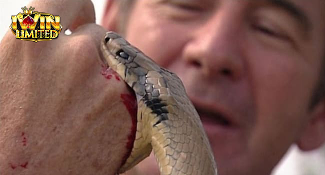 Mơ thấy rắn cắn vào tay chảy máu