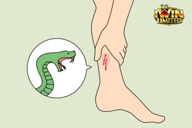 Mơ thấy rắn lục cắn chân