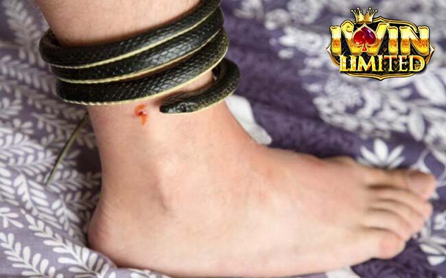 Mơ thấy rắn quấn chân đánh con gì còn tùy vào chi tiết giấc mơ