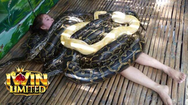 Mơ thấy rắn quấn siết