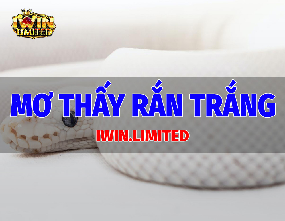 Nằm mơ thấy rắng trắng