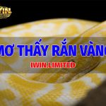 Nằm mơ thấy rắn vàng là điềm báo và ý nghĩa gì? Đánh con gì? Mơ thấy rắn vàng