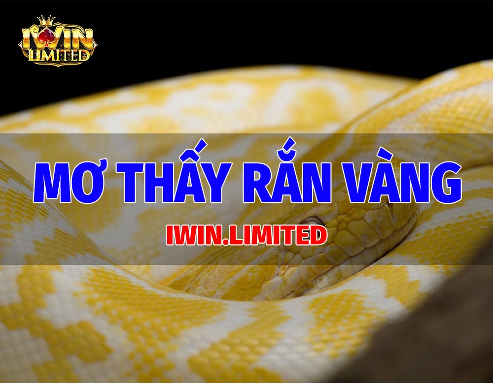 Mơ thấy rắn vàng