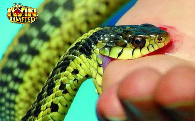 Mơ thấy rắn xanh cắn chân