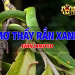 Nằm mơ thấy rắn xanh là điềm báo và ý nghĩa gì? Đánh con gì? Mơ thấy rắn xanh rắn lục