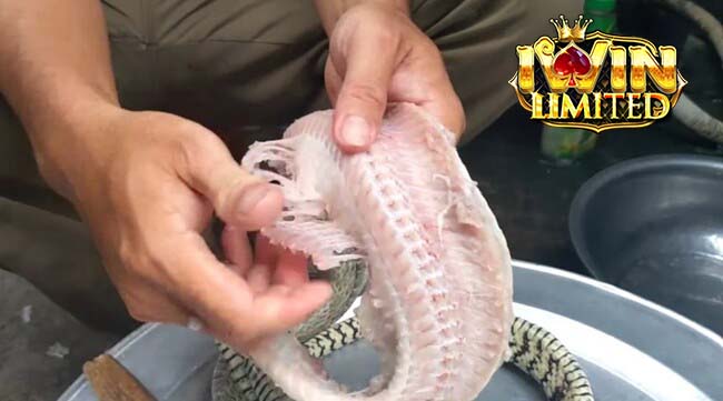 Mơ thấy mình đang làm thịt rắn