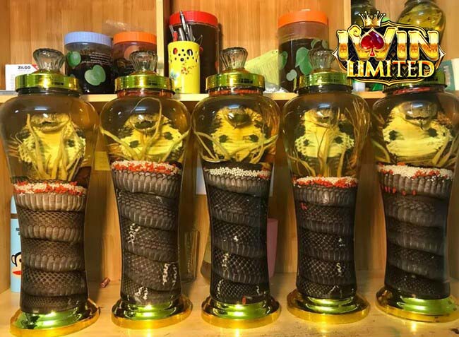 Mơ ngâm rượu rắn