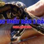 nam-mo-thay-ran-2-dau