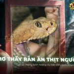 nam-mo-thay-ran-an-thit-nguoi