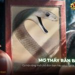 Nằm mơ thấy rắn bay có ý nghĩa gì? Đánh con gì trúng lớn? nam-mo-thay-ran-bay-co-y-nghia-gi