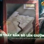 nam-mo-thay-ran-bo-len-giuong-giai-ma