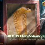 nam-mo-thay-ran-ho-mang-vang-co-y-nghia-gi