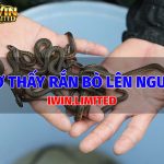 Nằm mơ thấy rắn bò lên người là điềm báo gì? Đánh con gì? ran-bo-len-nguoi