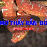 Nằm mơ thấy rắn đỏ là điềm báo gì? Đánh số mấy? thay-ran-mau-do