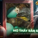 Nằm mơ thấy rắn đẻ có ý nghĩa gì? Đánh con gì trúng lớn? thumb-mo-thay-ran-de