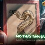 Nằm mơ thấy rắn đuổi có ý nghĩa gì? Đánh con gì để trúng lớn? thumb-mo-thay-ran-duoi