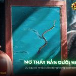 thumb-mo-thay-ran-duoi-nuoc