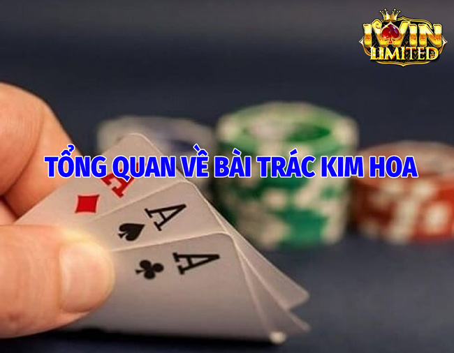 Tổng Quan Về Bài Trác Kim Hoa
