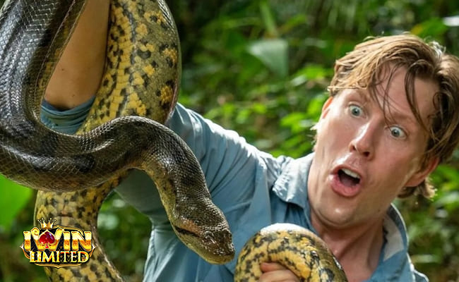 Tổng quan ý nghĩa giấc mơ thấy rắn ăn thịt người