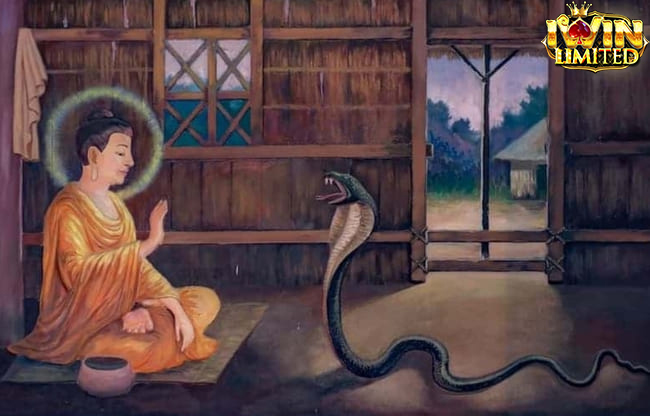 Ý nghĩa đặc biệt từ giấc mơ mùng 1 mơ thấy rắn