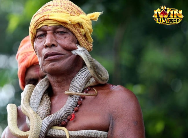 Mơ thấy người thân bị rắn cắn