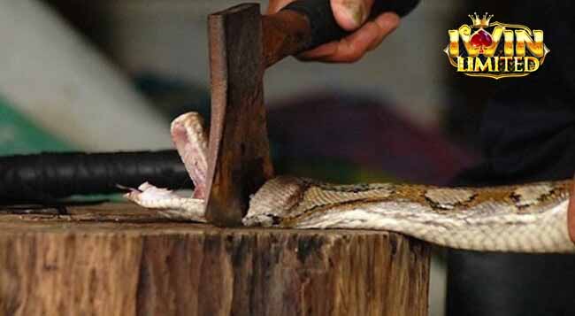 Ý nghĩa tâm linh của giấc mơ thấy rắn bị chặt đầu