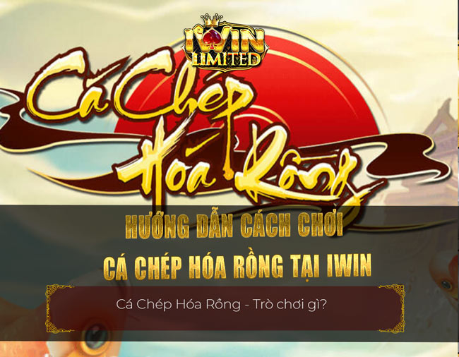 Hướng dẫn cách chơi Cá Chép Hóa Rồng tại iWin