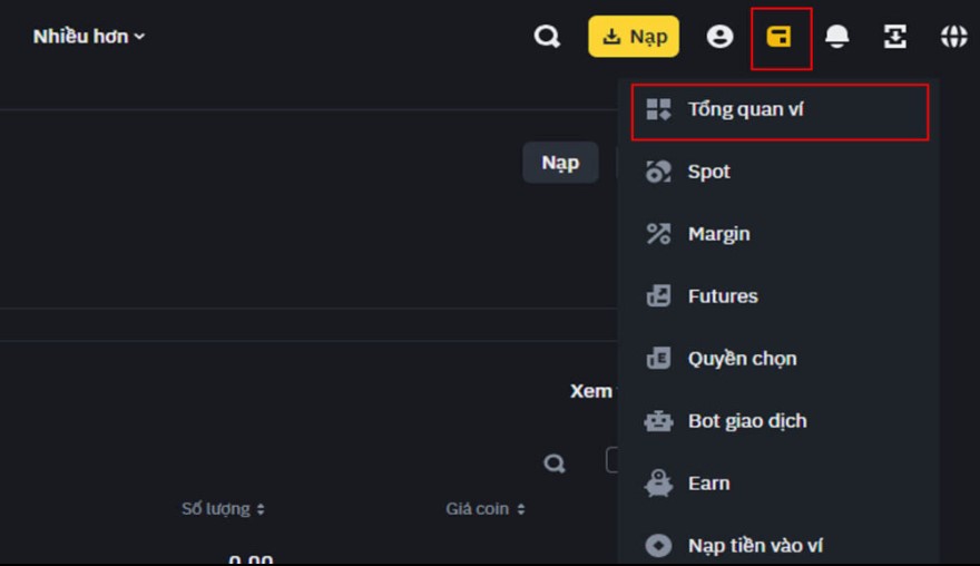 Kiểm tra số dư USDT khả dụng