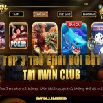 Top 3 trò chơi nổi bật tại nhà cái iWin