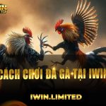 Hướng dẫn cách chơi đá gà tại iWin Club chính xác nhất hôm nay
